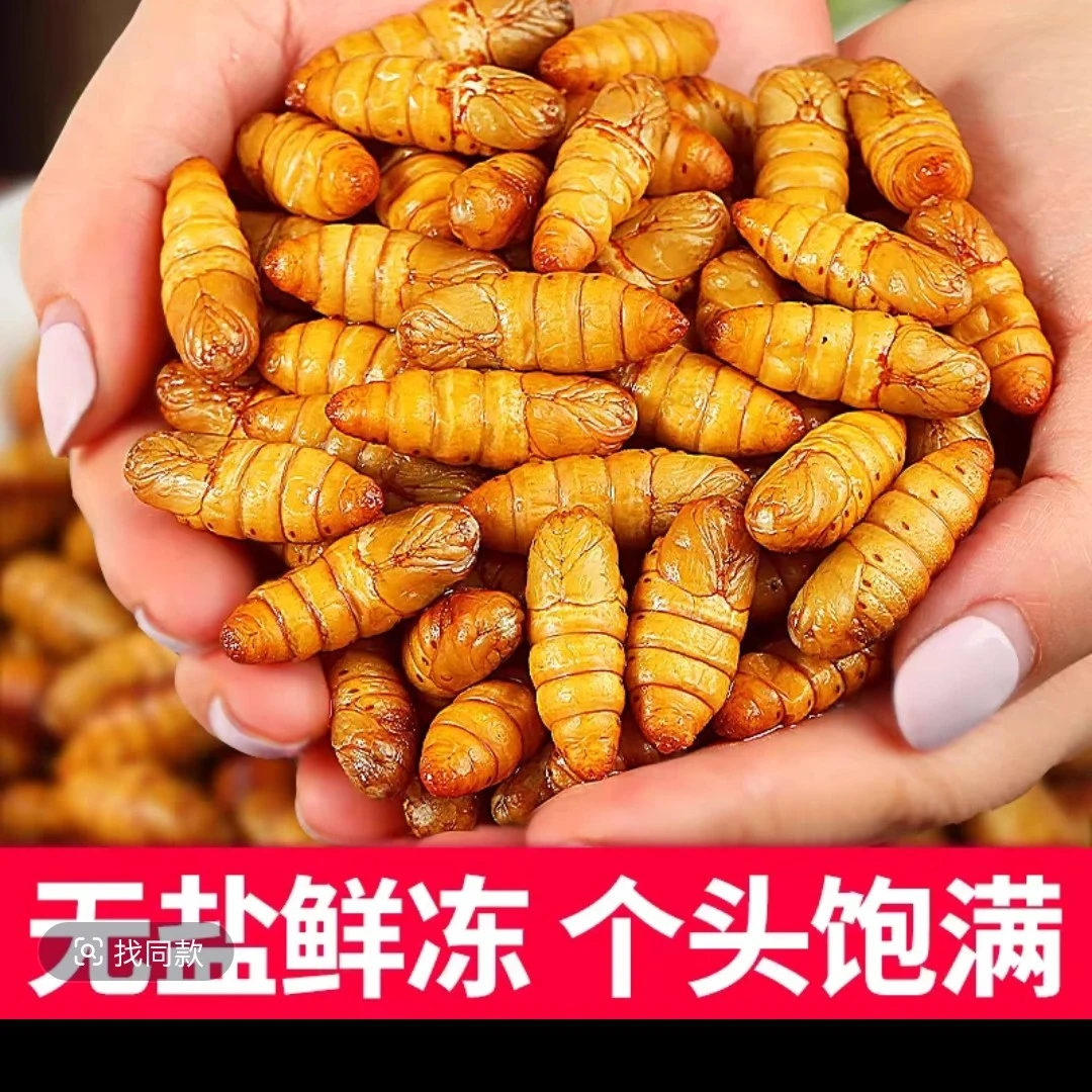 山东特产，金丝蚕蛹，（生蚕蛹）高蛋白，美味下酒菜