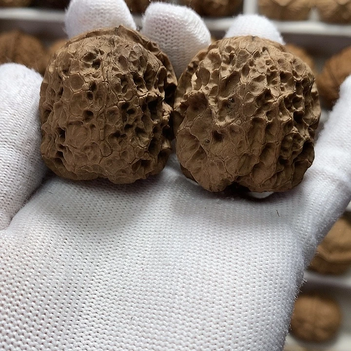 核桃40尺狂野大平底1号