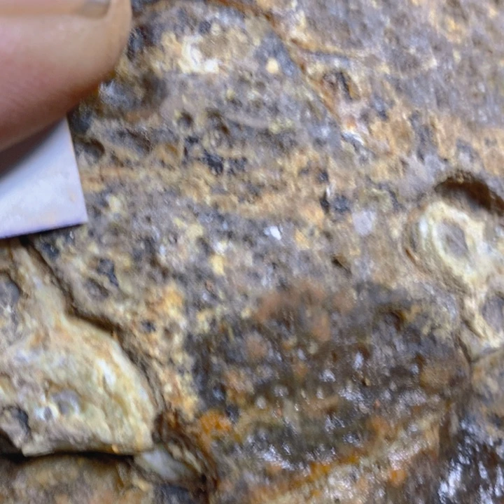 定制玛瑙守**酒好咯哦去哦