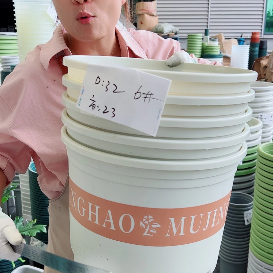 矮胖6#米白色5个无托
