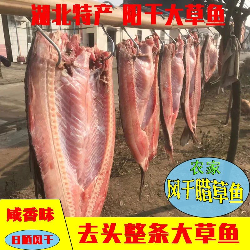 阳干草鱼湖北荆州石首特产农家手工自制风干淡水草鱼块风味腊货