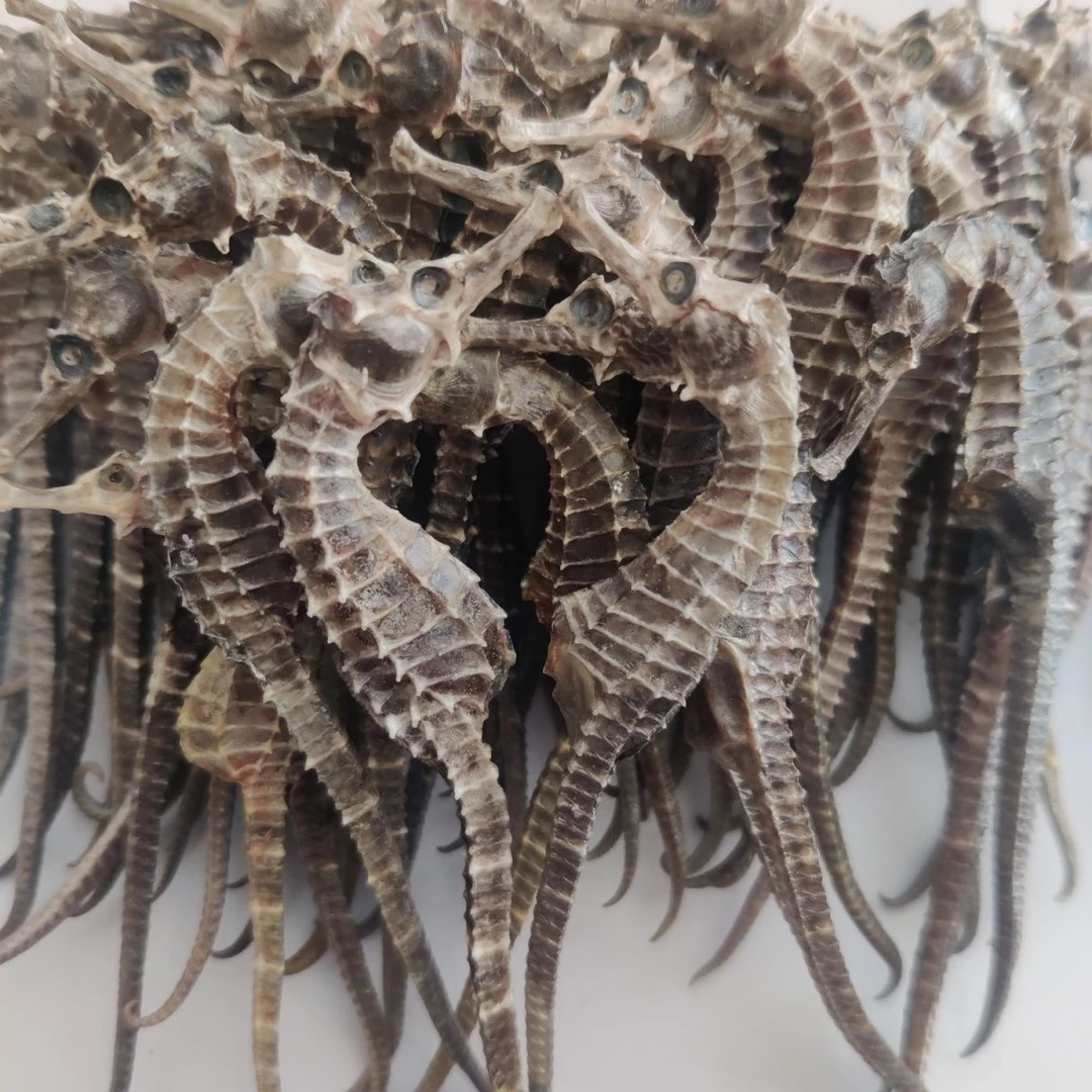 海干货马馬公母搭配可泡酒煲汤料带溯源码10只