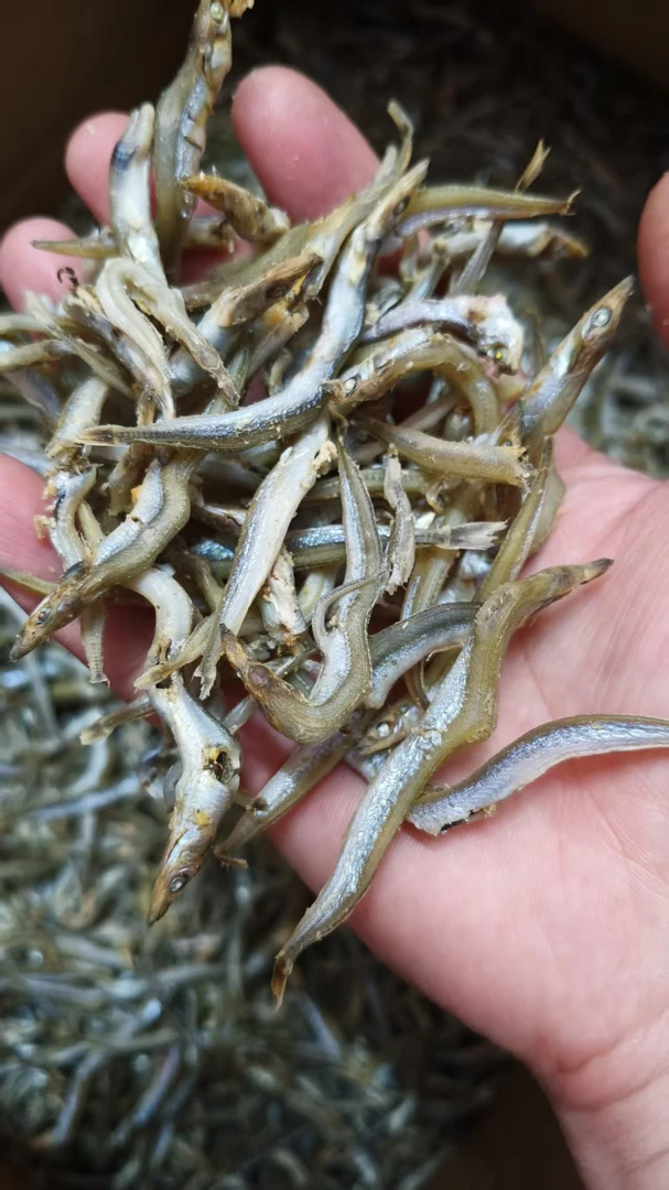 小小鱼银针鱼海产干货