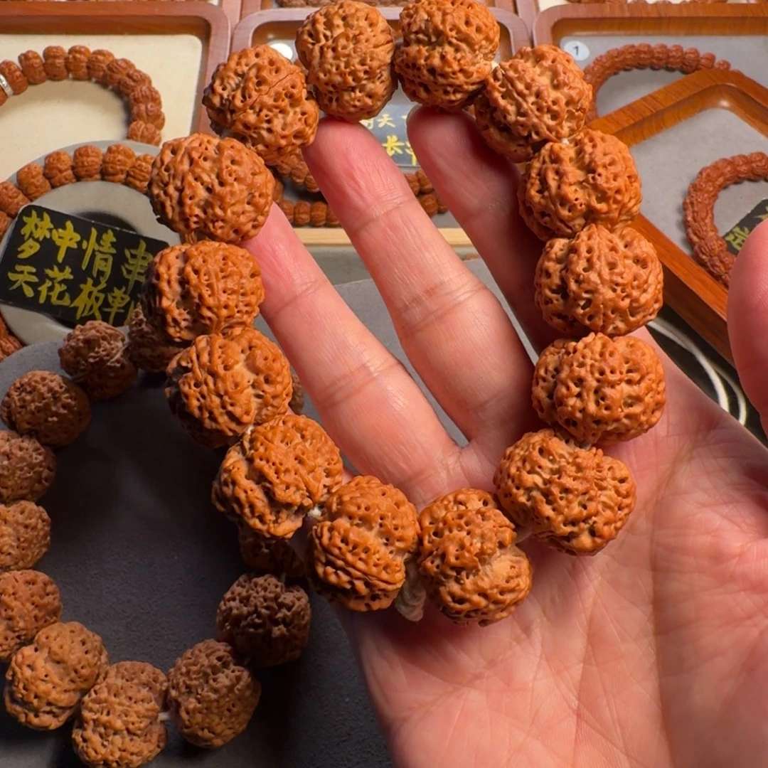 吊坠金刚菩提贪****s五星双龙