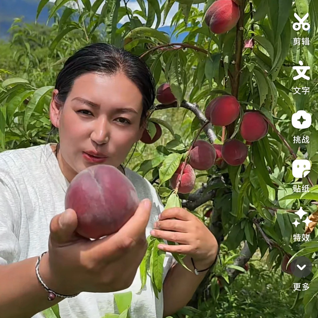 西藏林芝脆桃5斤装（邮政包邮）