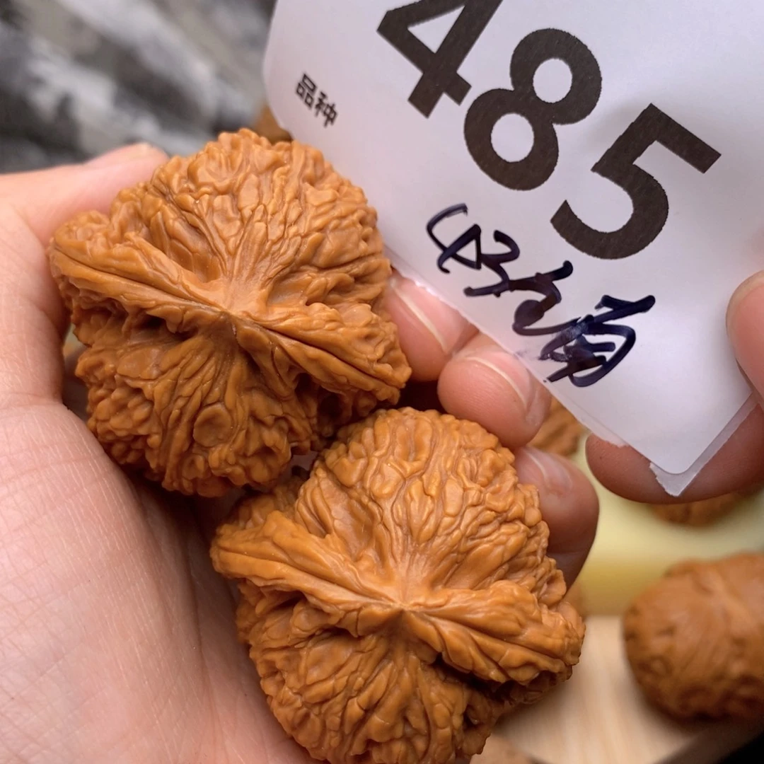 文玩核桃把件485号43全南