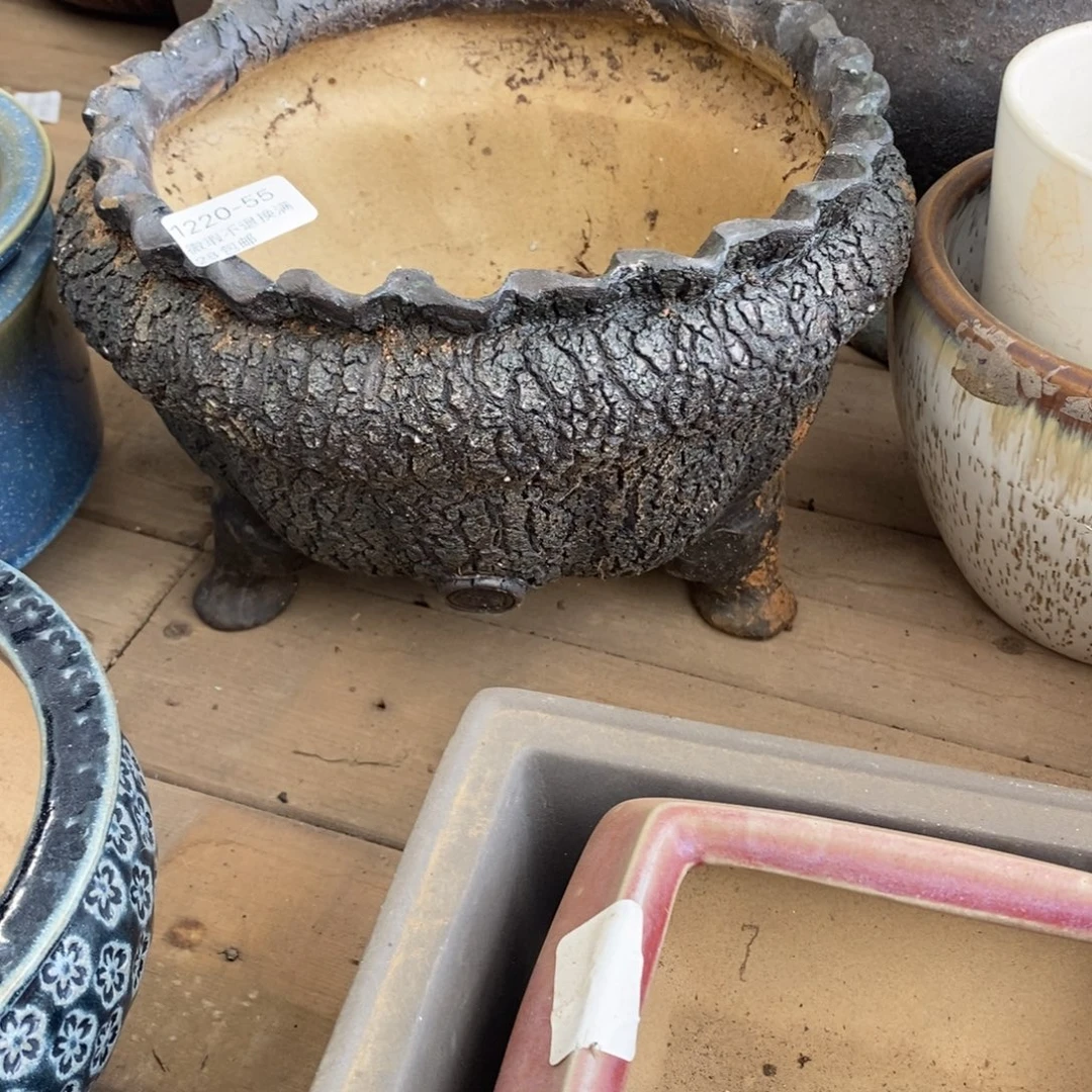 心***g55号多肉盆口径19