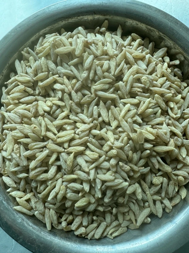 ［大颗 粒麦冬］甘肃原产地，农家新货无熏硫滋补可泡水煲汤湿补养生