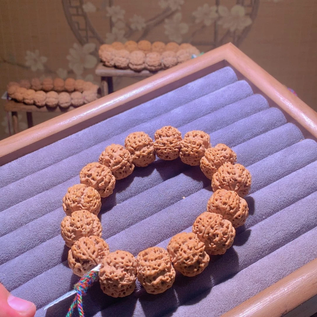 手串金刚菩提23尺古龙梅花一号