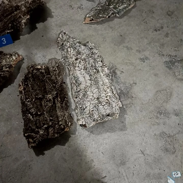 木一物一拍一物一发