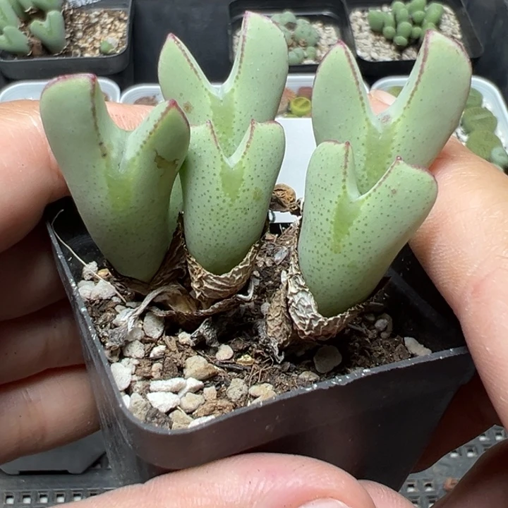 【闪购商品】715……