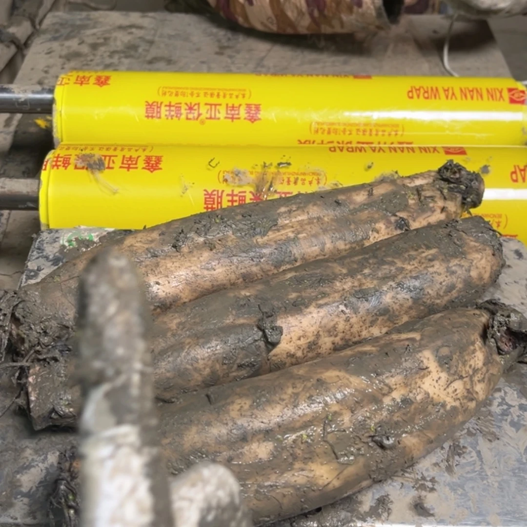 可***乐洪湖莲藕中国大陆