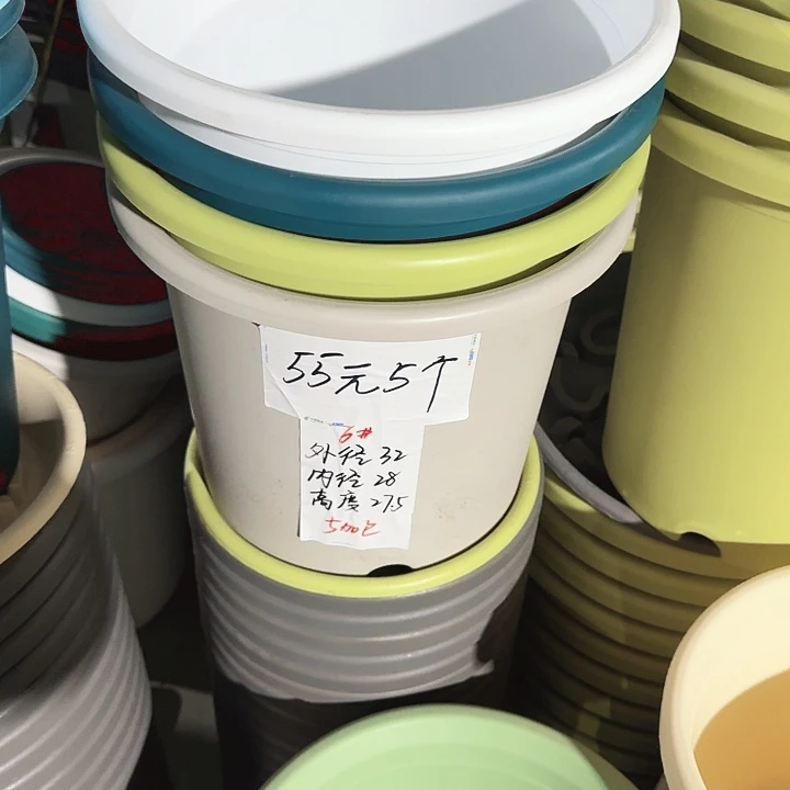 四季6#口径32白色7个无托