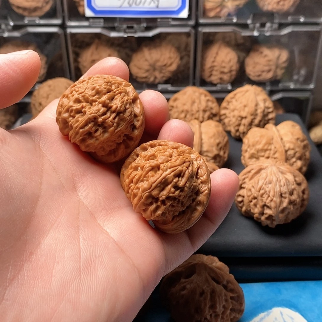 核桃手串/手链白狮子尺寸39