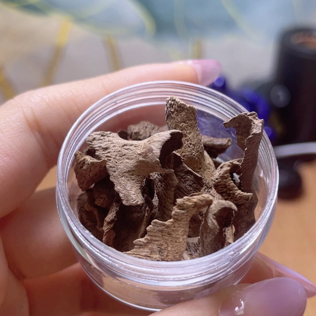 香榧木海南文昌土埋3g开播福利