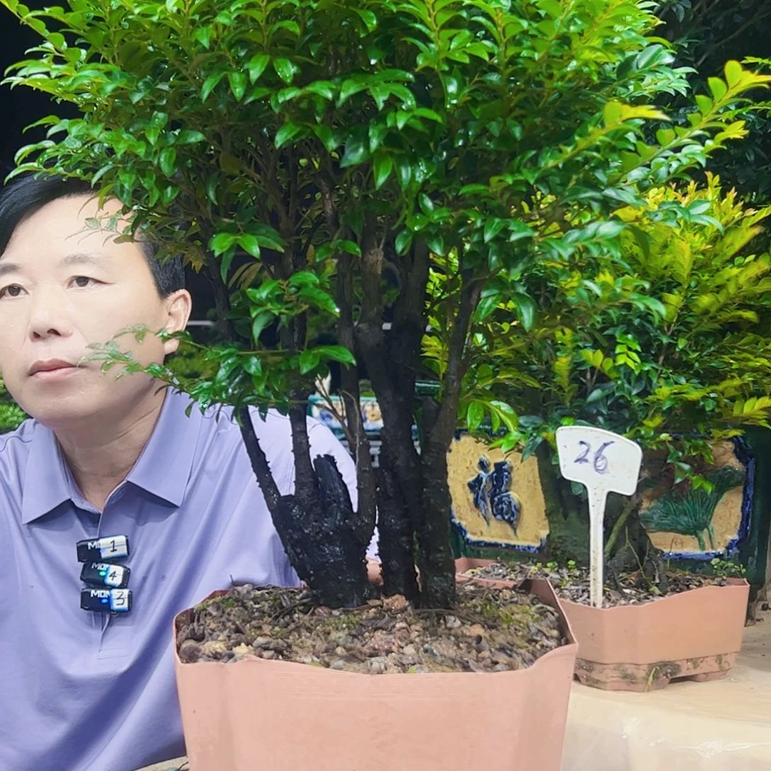 无花朵嘉*堂12345678