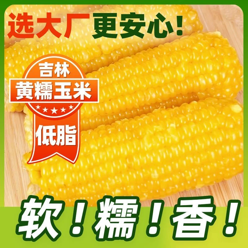 【支持5棒试吃】东北头茬真空黄糯玉米240克-280克到手10棒