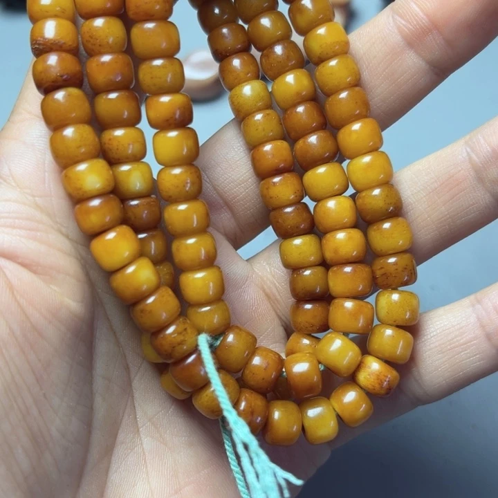 大果紫檀（缅甸花梨）