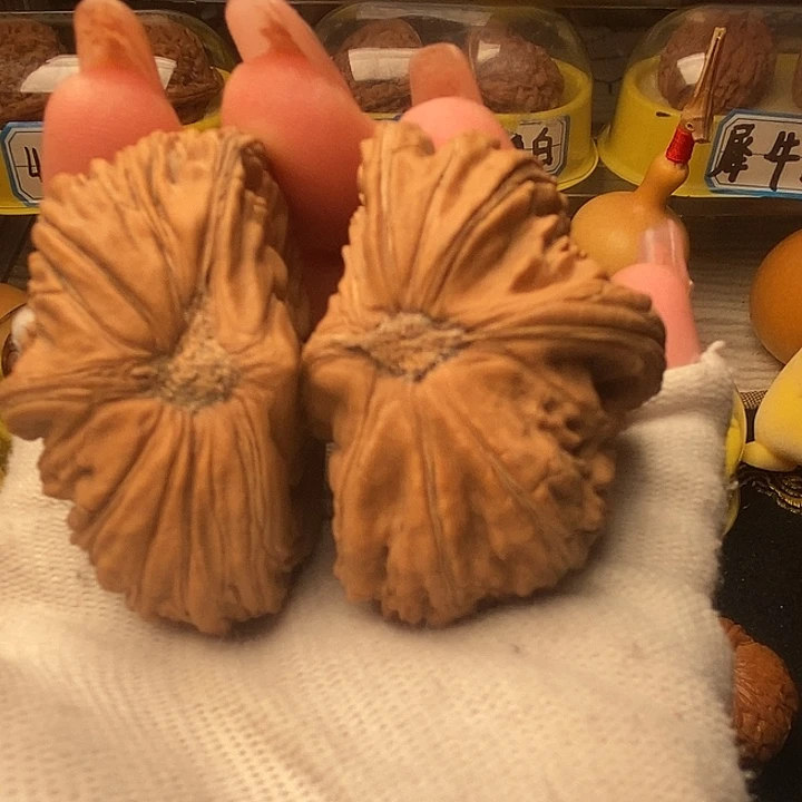 吊坠文玩核桃卡姿兰白狮子半臂