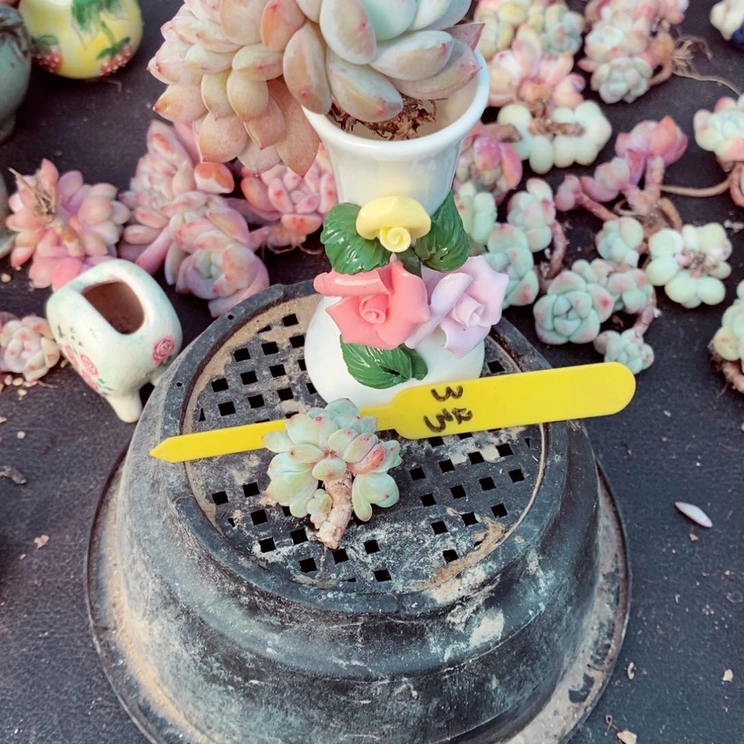 x**i3号的肉肉肉肉肉肉