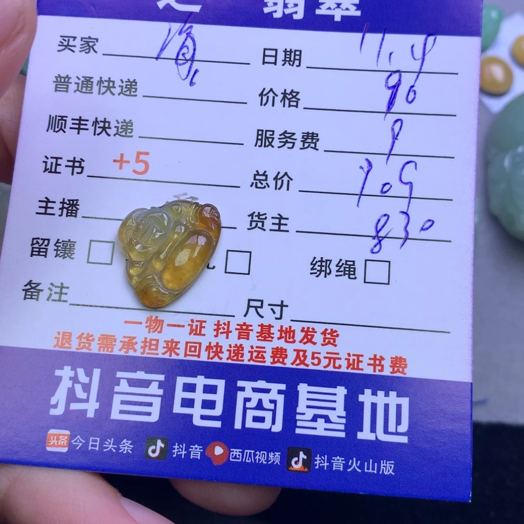 颈饰未镶嵌翡翠海****寓