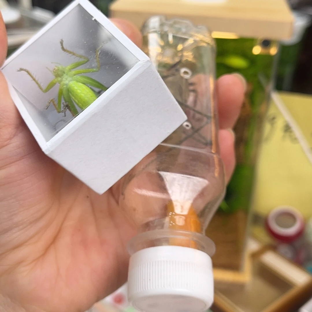 红***星1扎嘴1蛙坊哈哈哈哈