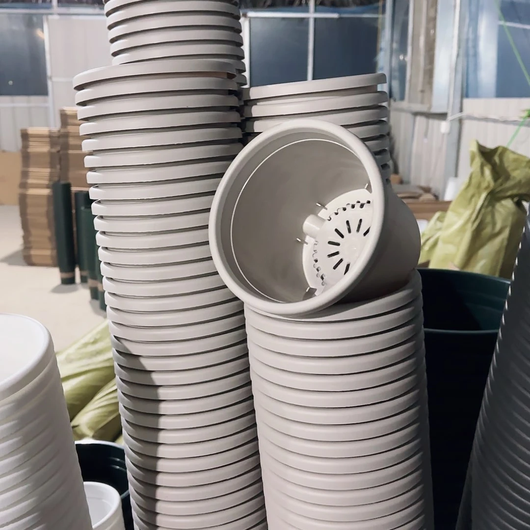 塑料四季盆2号盆灰白色6个带拖