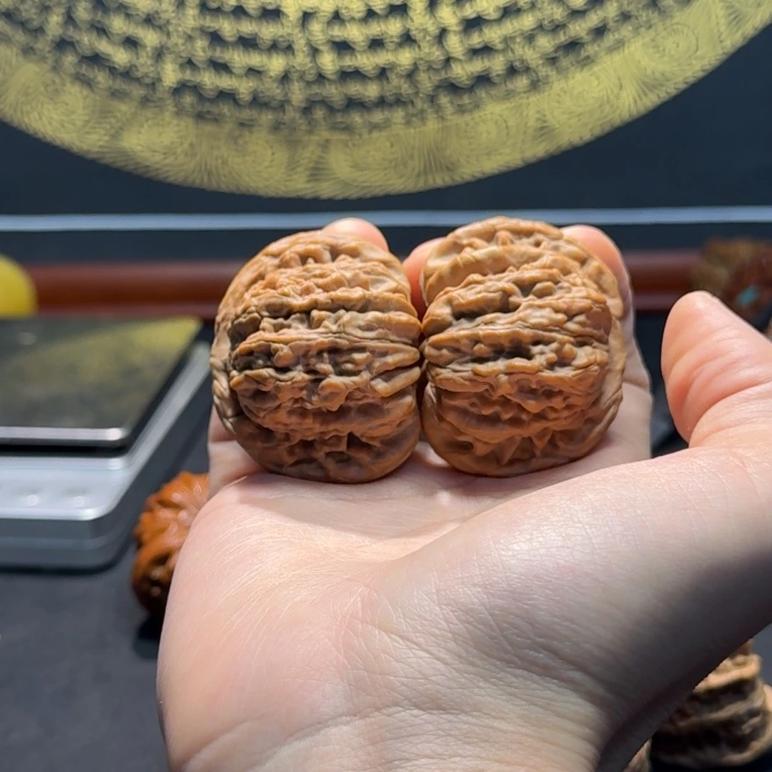 Y***H核桃全品四座楼hhhhh