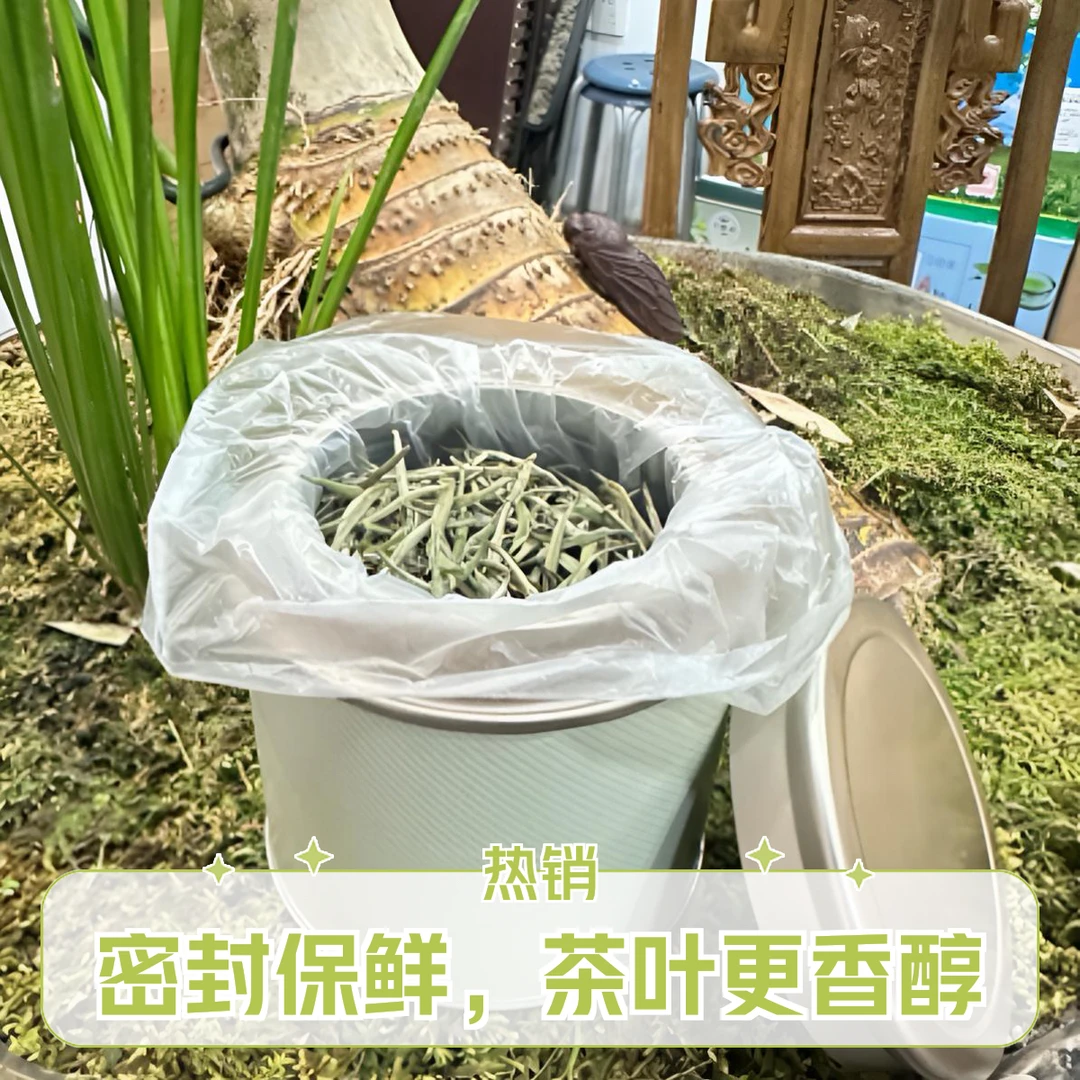 正味兰妃早春嫩芽