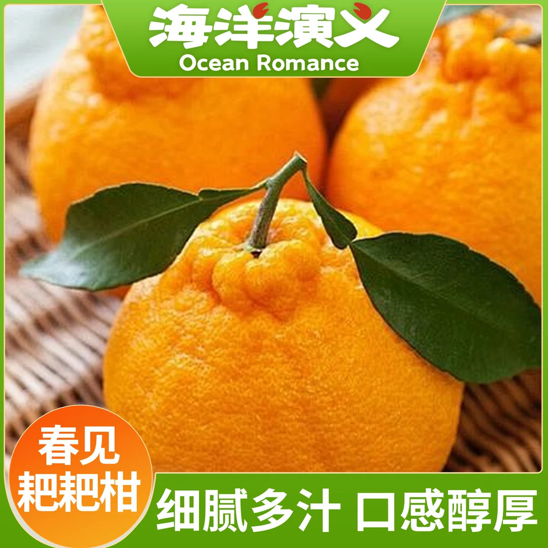 【海洋演义】春见耙耙柑（85-90mm）2.25kg/箱 商城专享