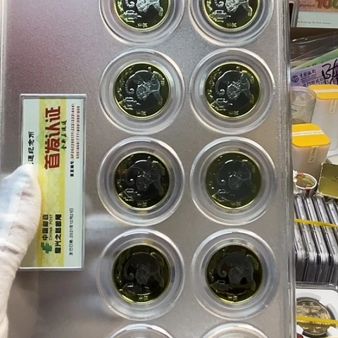 其他普通金属二轮生肖虎币12枚封装