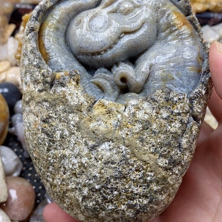 颈饰未镶嵌硅化珊瑚（珊瑚玉）