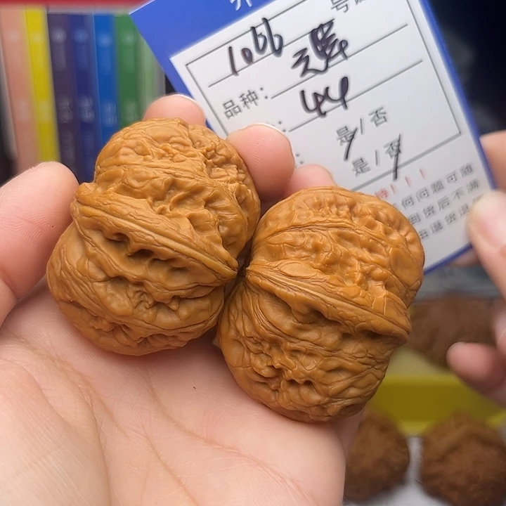 文玩核桃手捻核桃1066