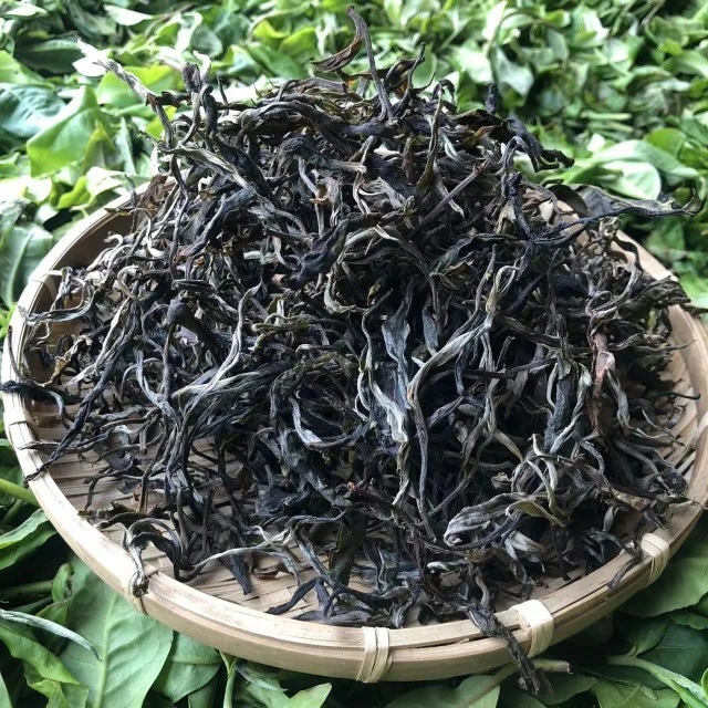 2024 百花潭【大树】