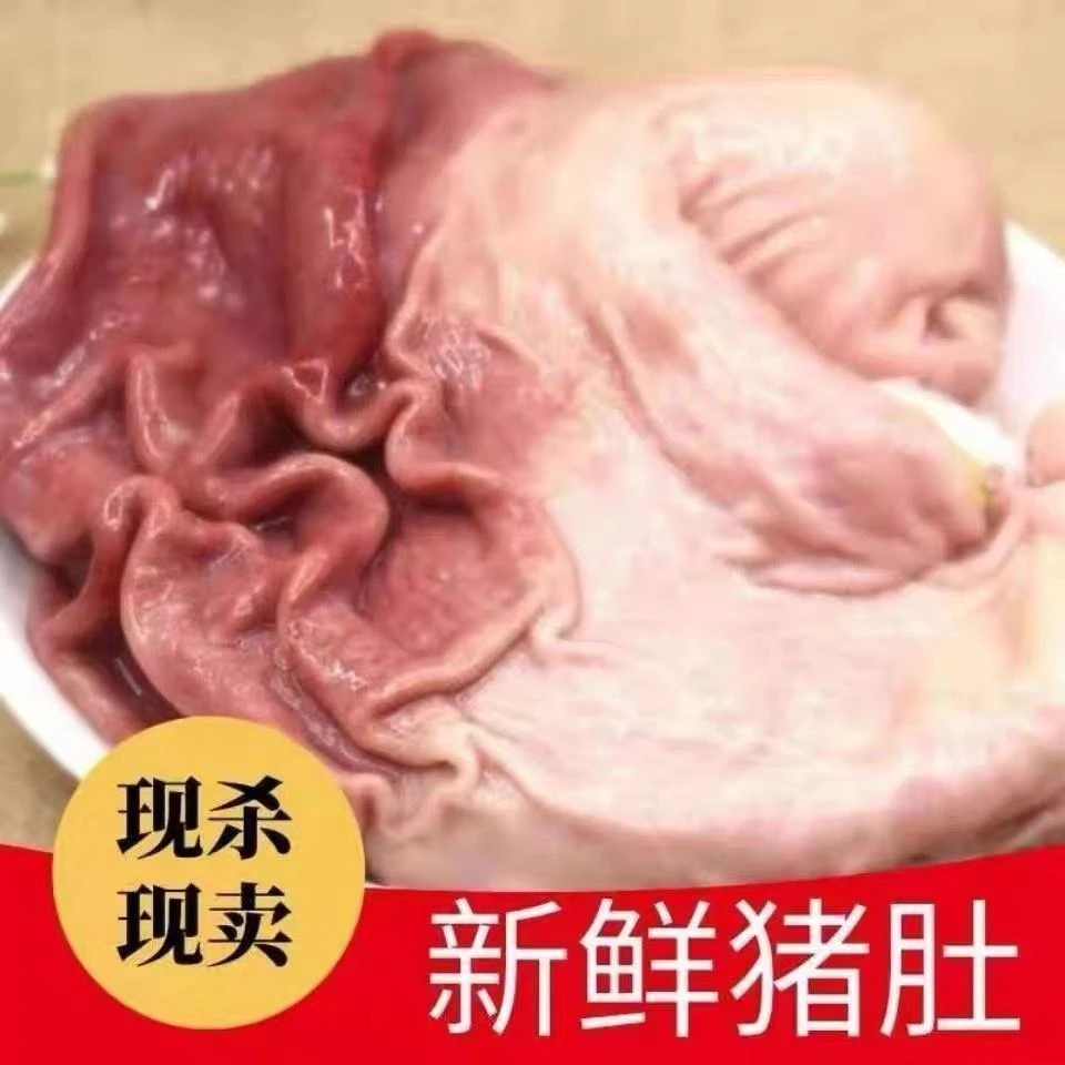 猪肚新鲜现杀特厚猪肚大肚子