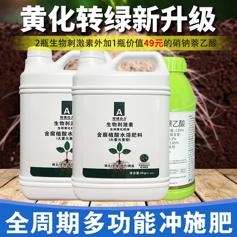 柑橘动力升级版黄化转绿方案疏松土壤刺激根系营养平衡生长