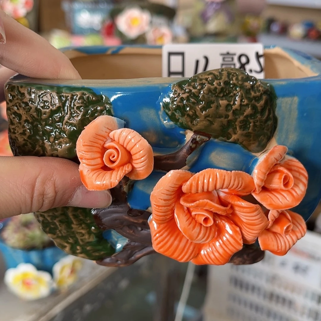 【闪购商品】红陶福利