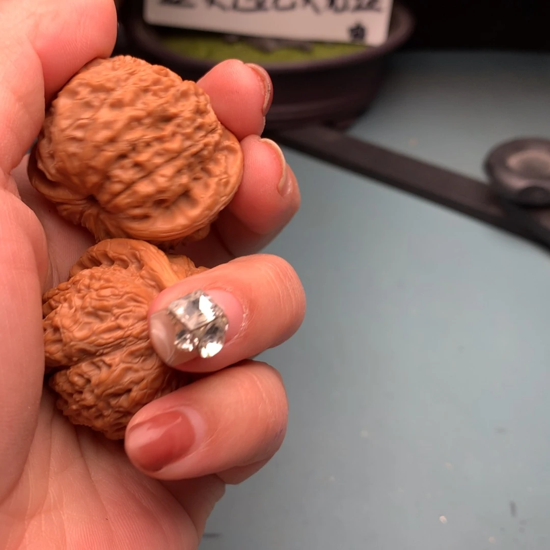 文玩核桃把件血麒麟3839