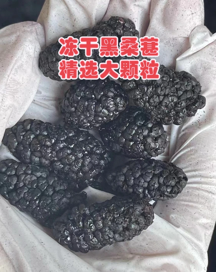 【冻干桑葚】精选大颗粒无沙免洗桑葚果泡水泡酒女人玫瑰桑葚茶