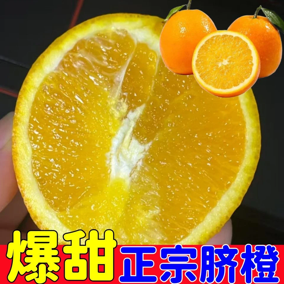［清仓甩卖］新鲜现摘产地直发当季甜橙青皮手剥橙孕妇水果香甜多汁