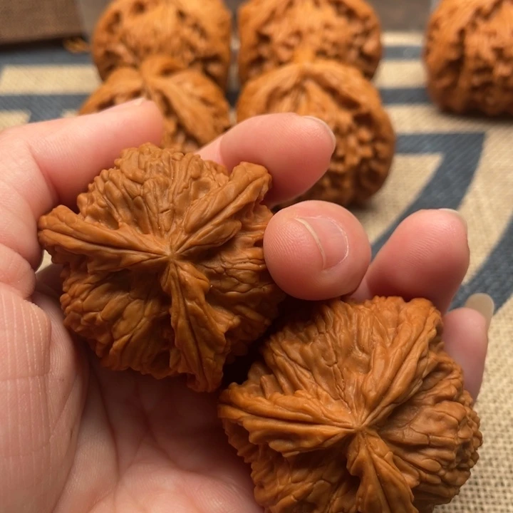 宝***你核桃白狮子42核桃