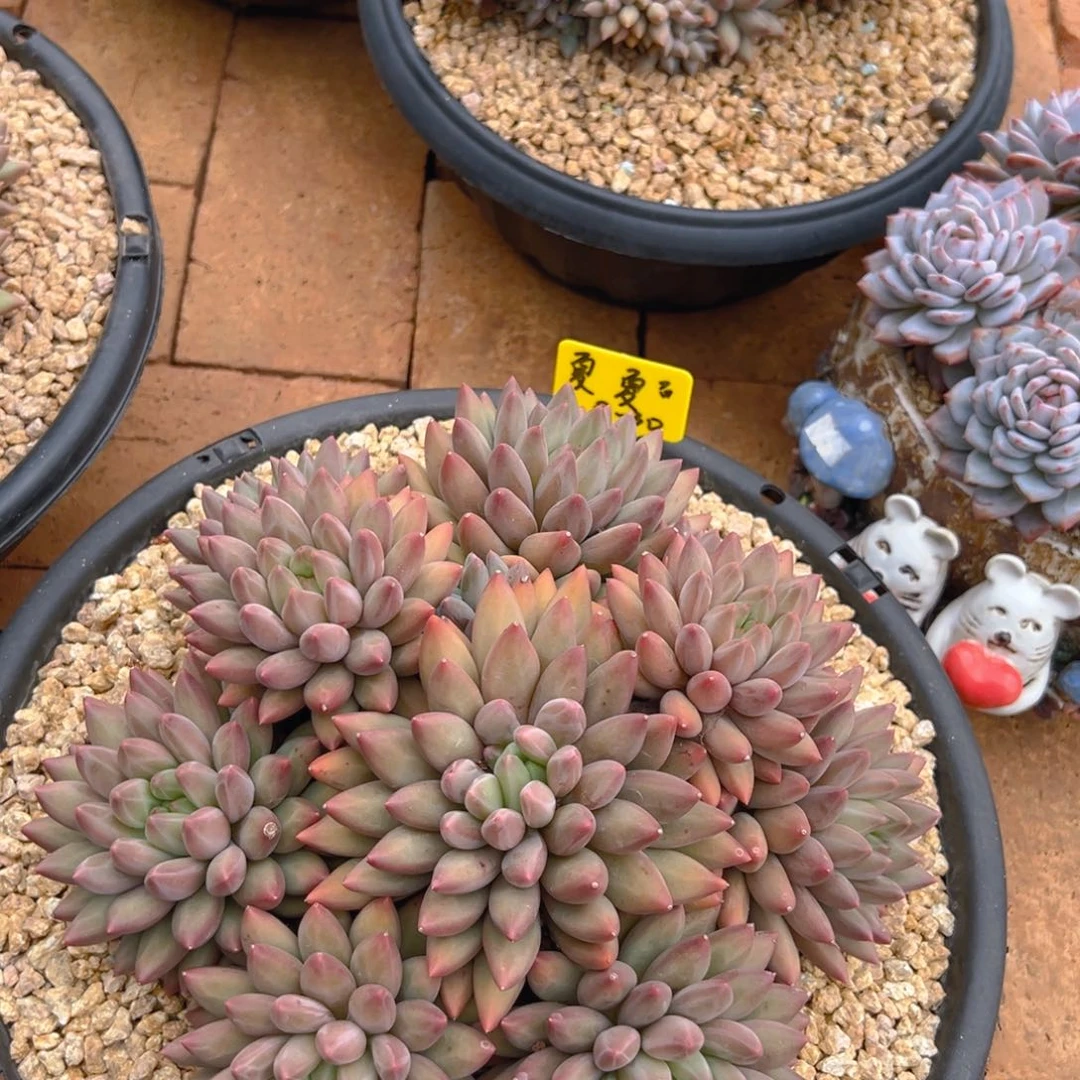 9301111111111111111换