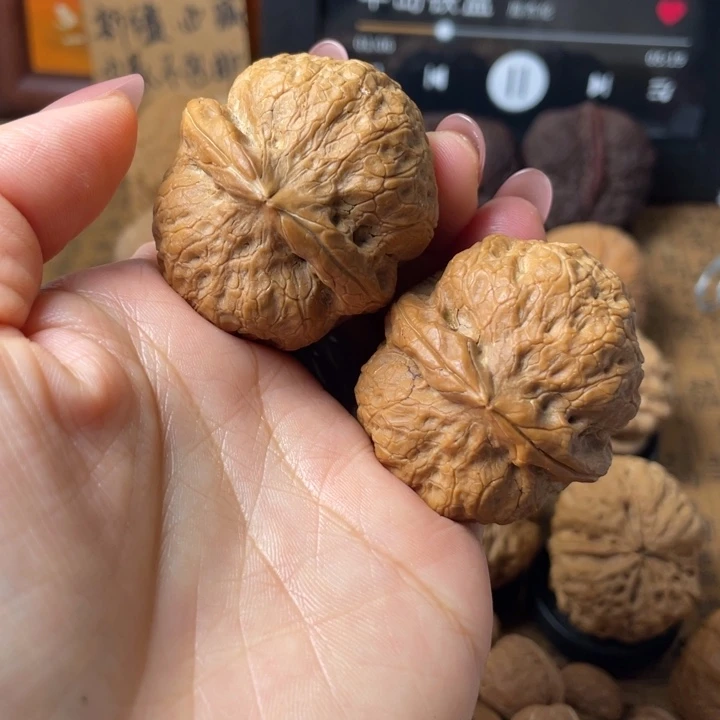 抖***筒如图所示一物一拍编号13