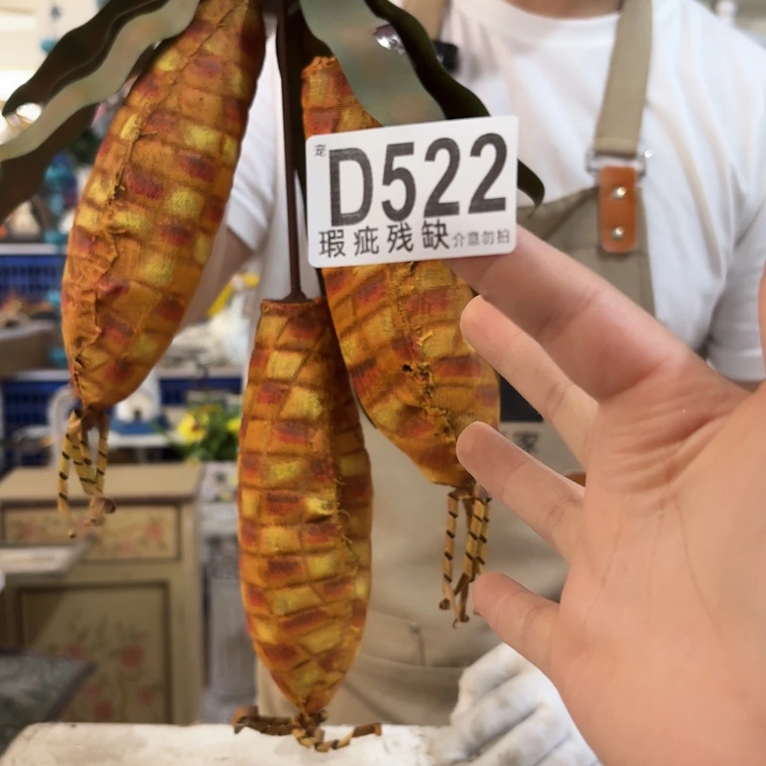 核桃木/黑胡桃（胡桃木）