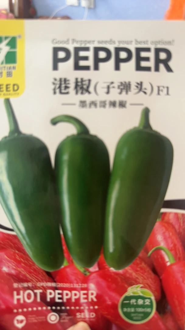 港椒泡椒种子子弹头