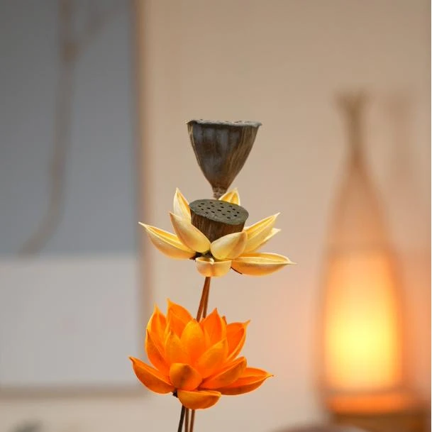 【知秋专属福利】干花手工花永生花插花设计植物干莲蓬