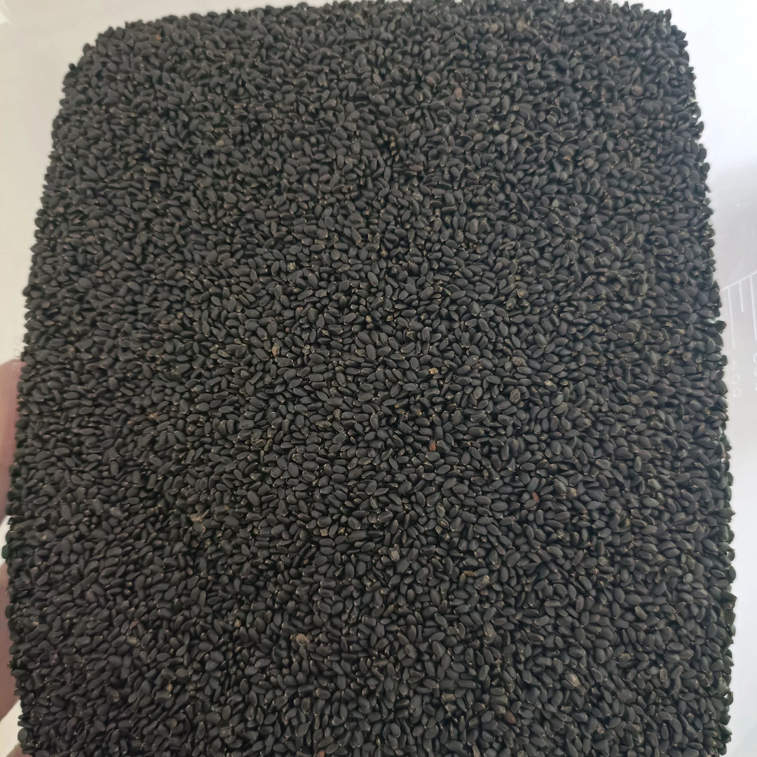 碧田园土特产   兰香子菇