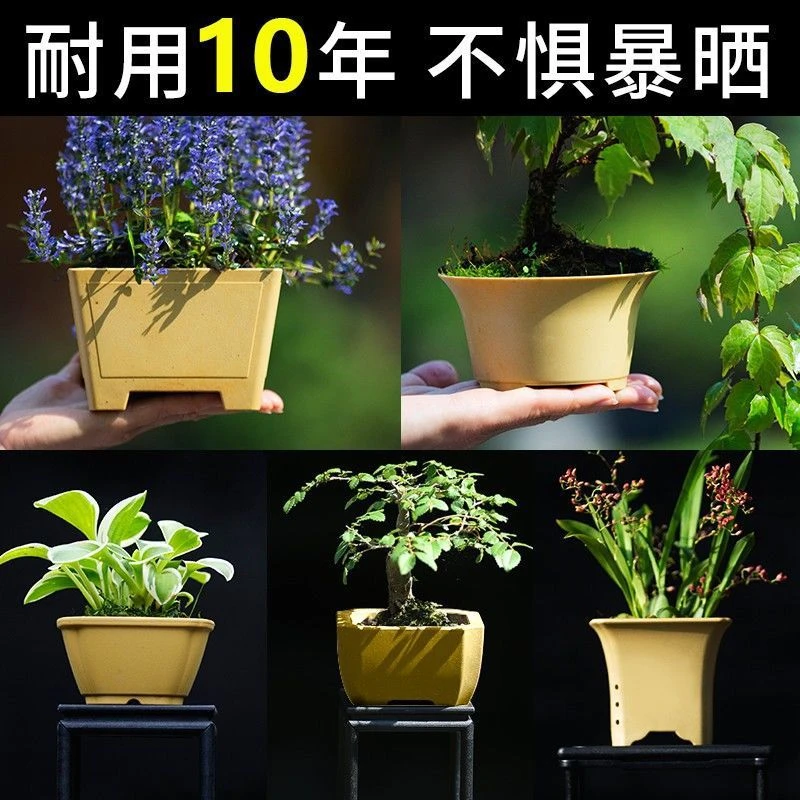 仿树脂花盆多肉植物盆景盆透气控根室内简约耐用加厚小花盆