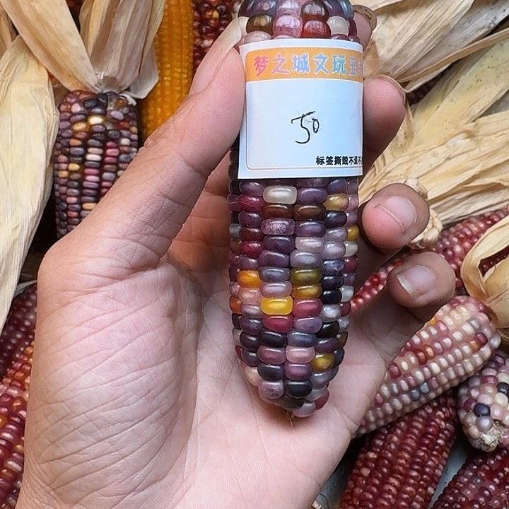 赵***石吊坠柏香籽/百香籽