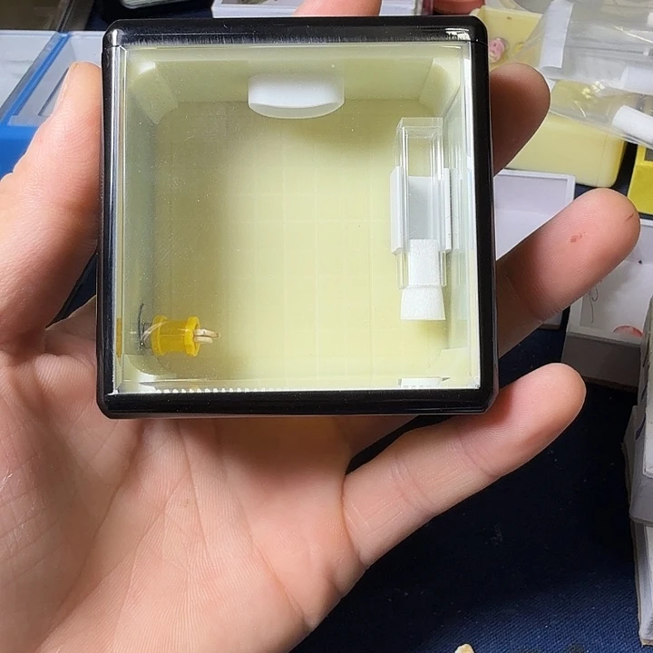 蟋蟀单独盒子哈哈哈哈哈哈哈哈